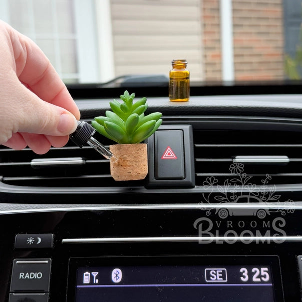 air plants in car Succulent Car Vent Clip Air Freshener (Reusable)