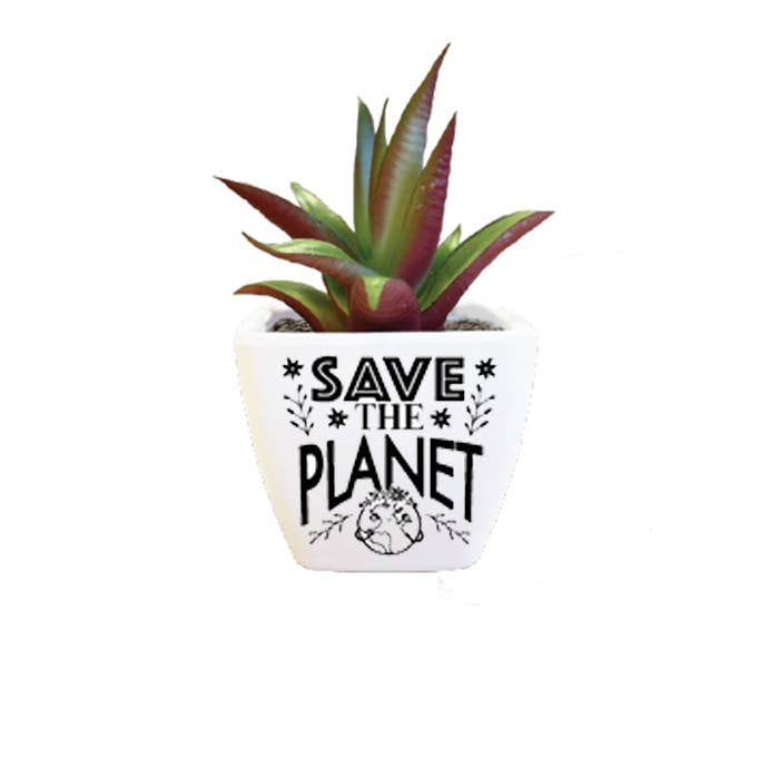 Sentiment Succulent - Save The Planet