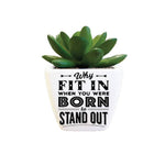 Sentiment Succulent - Stand Out